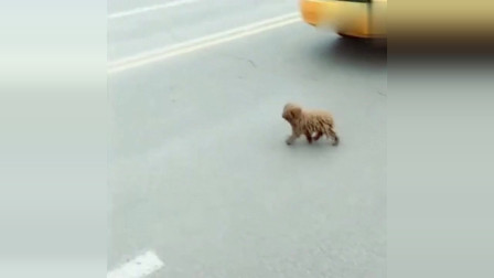 《大过年》电视剧_全集(1-30集)高清在线观看