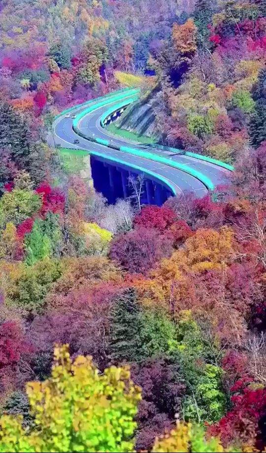 《高速公路》电影_高清完整版-免费在线观看