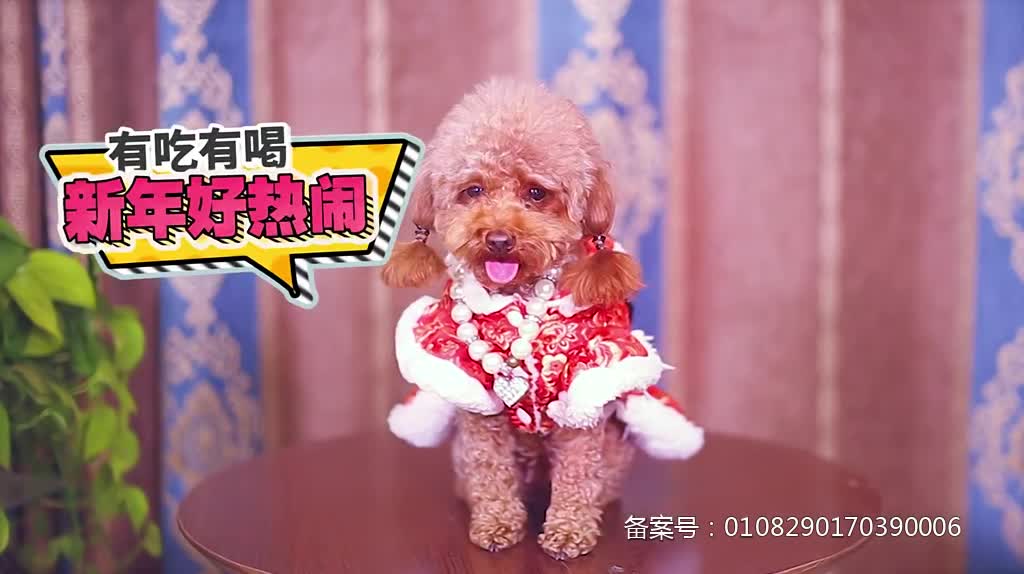 《大过年》电视剧_全集(1-30集)高清在线观看