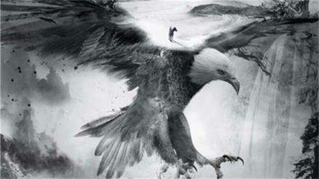 《天坑鹰猎》电视剧_全集(1-40集)高清在线观