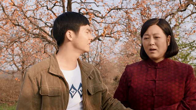 《岁岁年年柿柿红》电视剧_全集(1-39集)高清