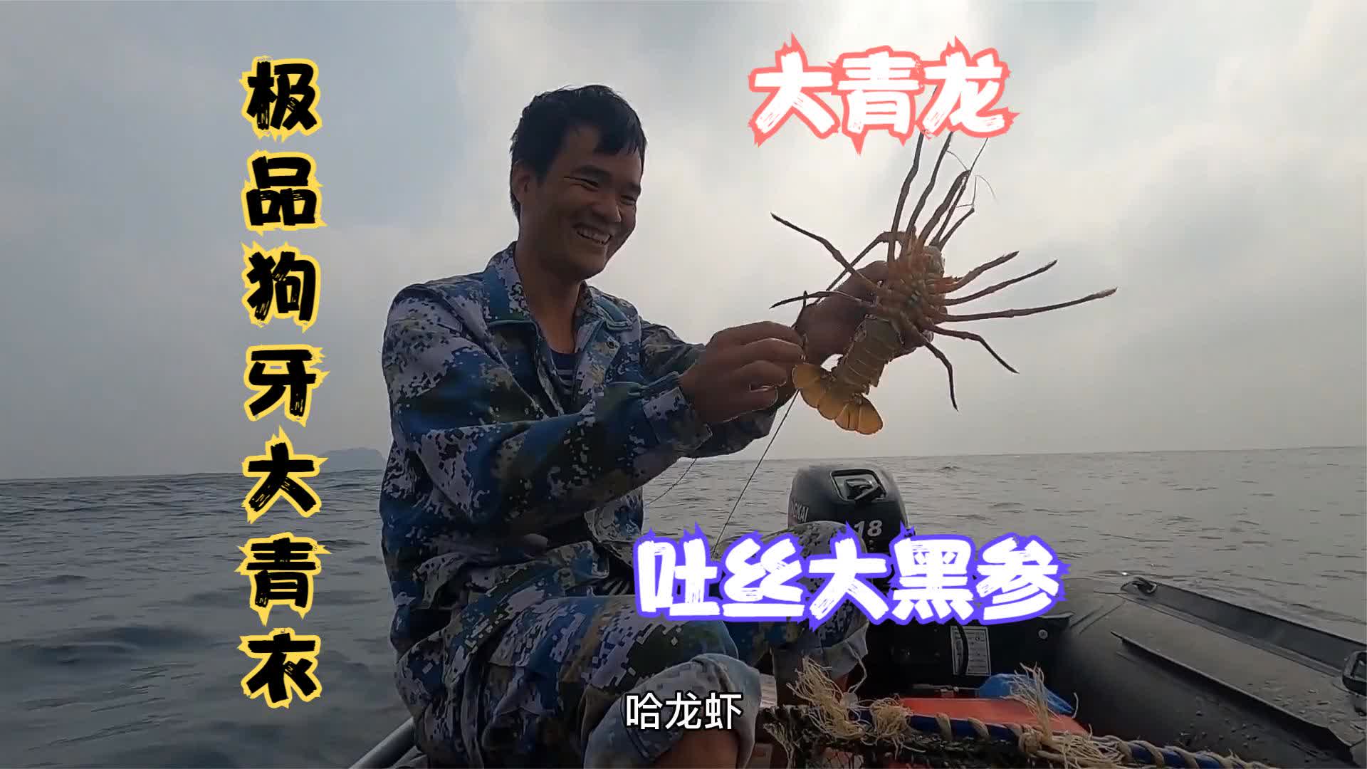 探海渔人│大龙虾爆笼,老表一条狗牙大青衣,上水黑物吐白丝怪吓人