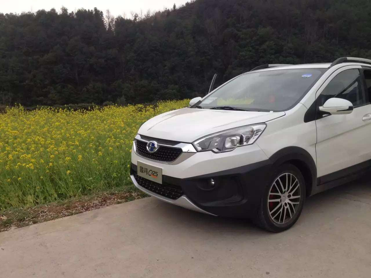 驾驭青春的灵动:金色花海中试驾昌河q25