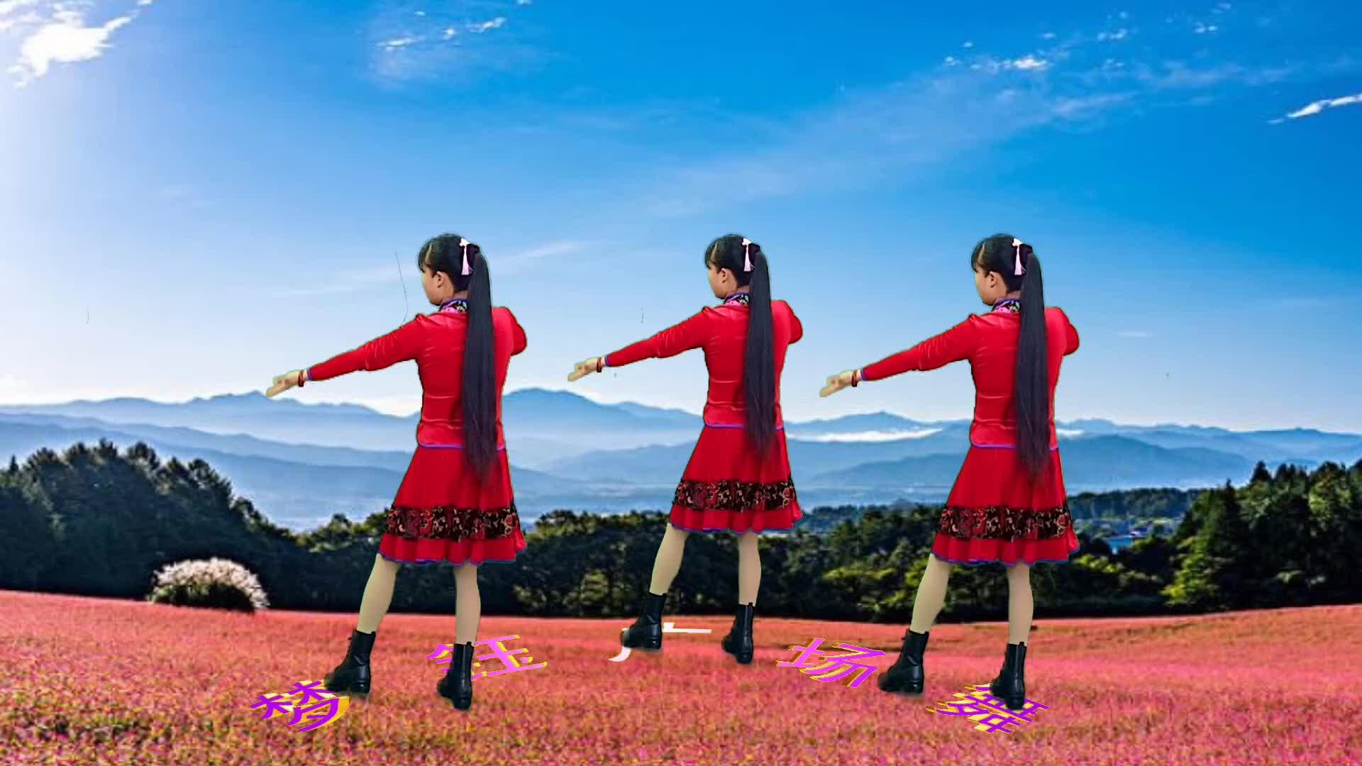 广场舞《荞麦花》王二妮演唱,好听的陕北民歌,歌美舞美