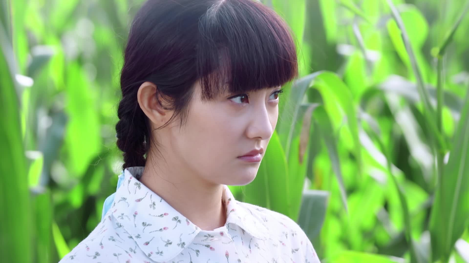 青涩的爱情?焦大楼玉米地找到乌日娜