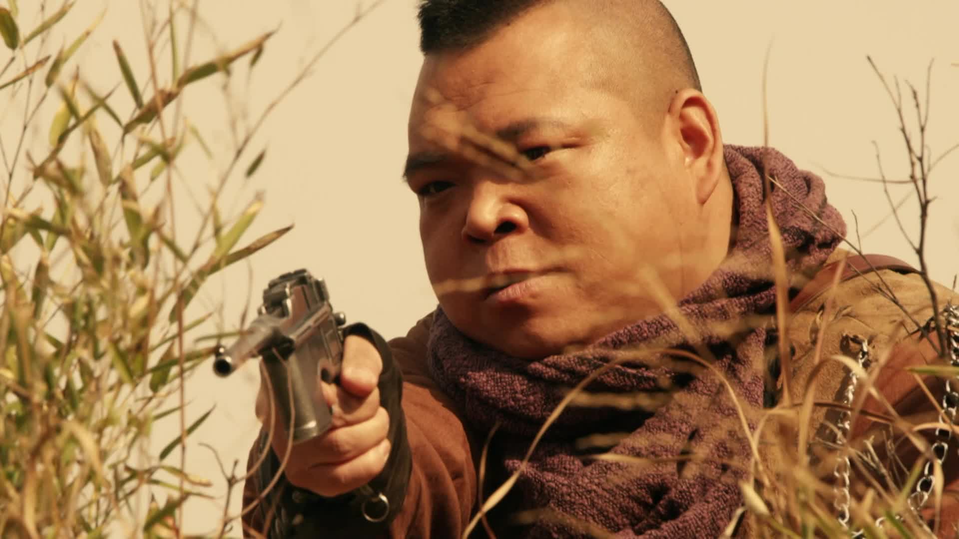 胡县长带人埋伏龙振彪