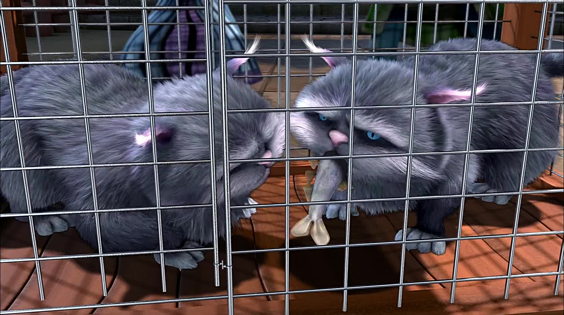 《少年阿凡提4》第25集:谁是猫妈妈