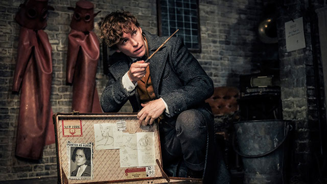 【神奇动物在哪里2】超前观影报道 邓布利多的爱恨情仇