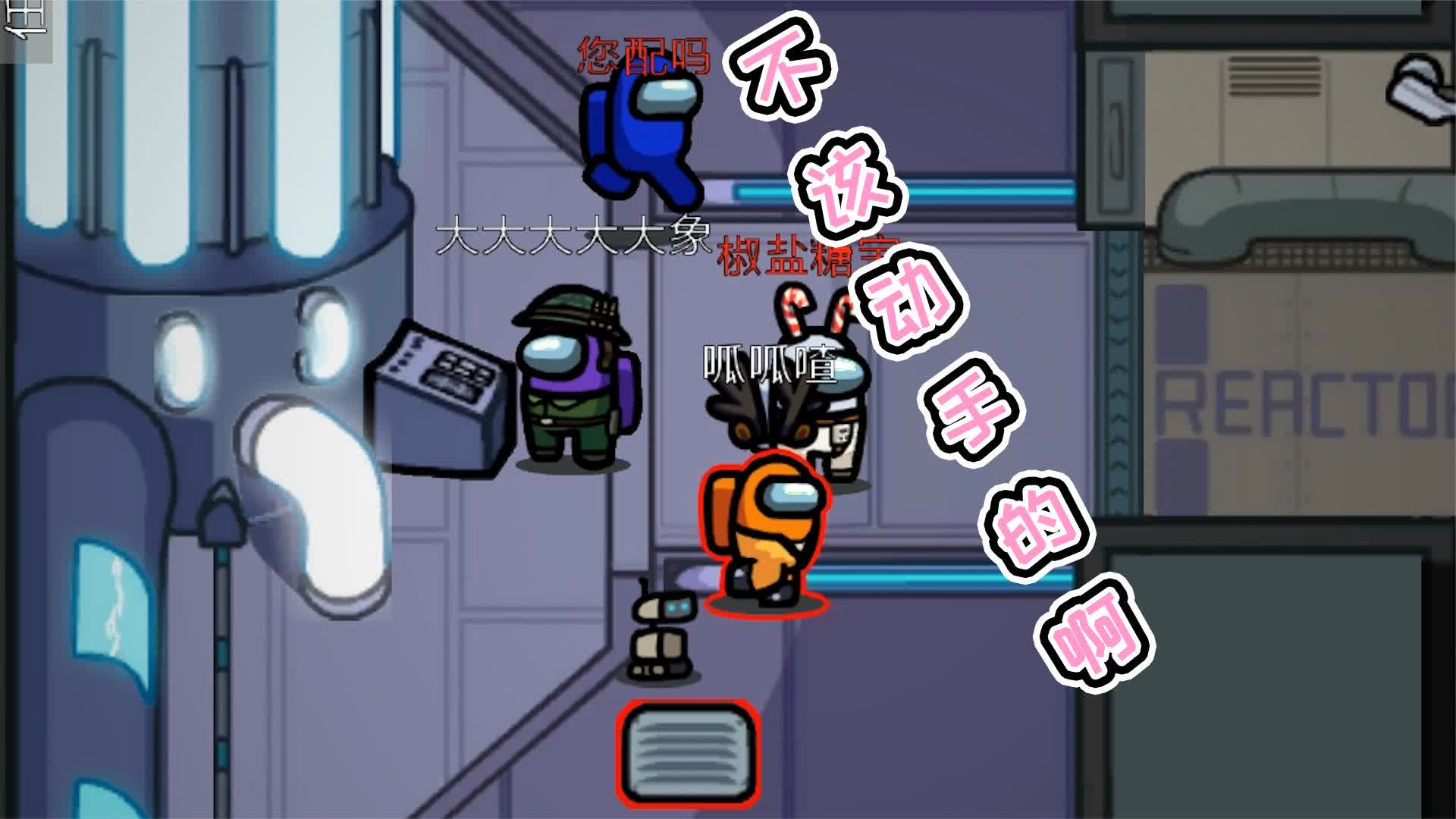 椒盐糖宝:为什么喳喳呱要一直跟着我啊!