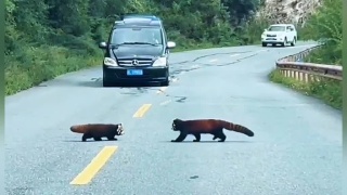 但凡有一根钢筋头没焊牢，脑袋可得遭老罪喽！