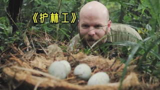 一群年轻人掏鸟蛋吃，结果丢了性命！